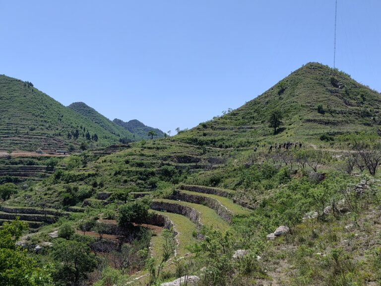 Dryland stone terraces in Wangjinzhuang Village