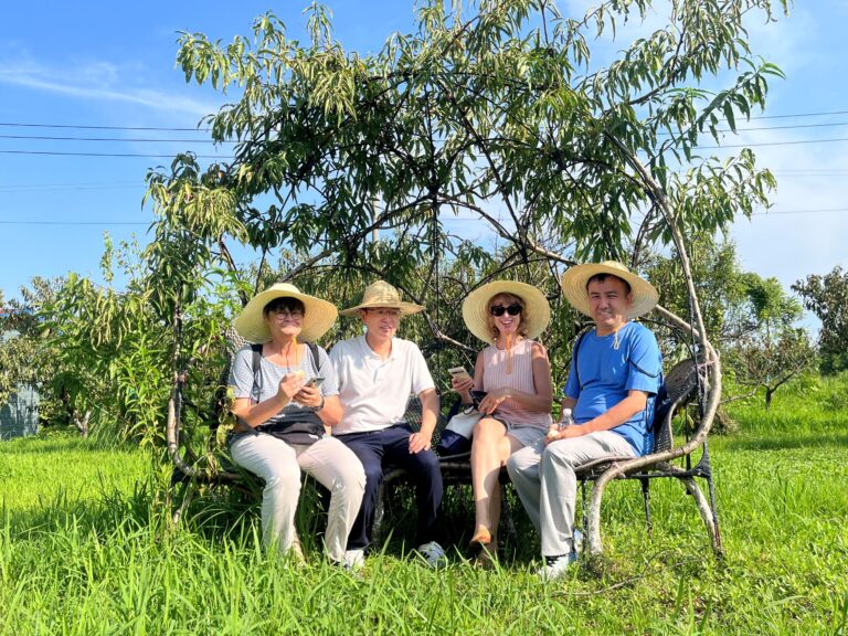 Living tree bench made from fruit trees