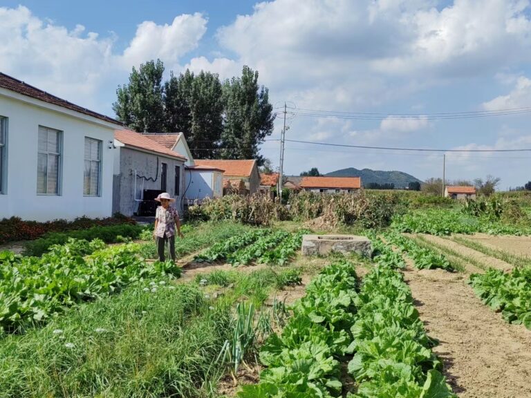 Local farmer in West Coast New District, Qingdao